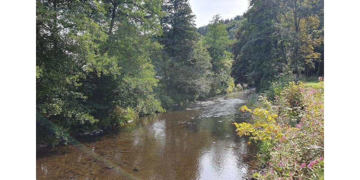 Doppelhaushälfte Thermalbad Wiesenbad - 6 Zimmer, 94 m&sup2;, 750&euro; | Angebot:23051767