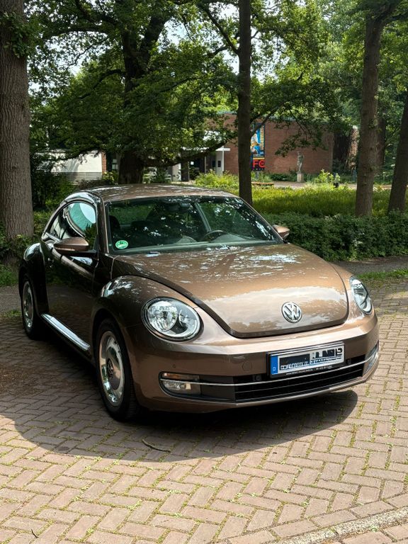 Beetle