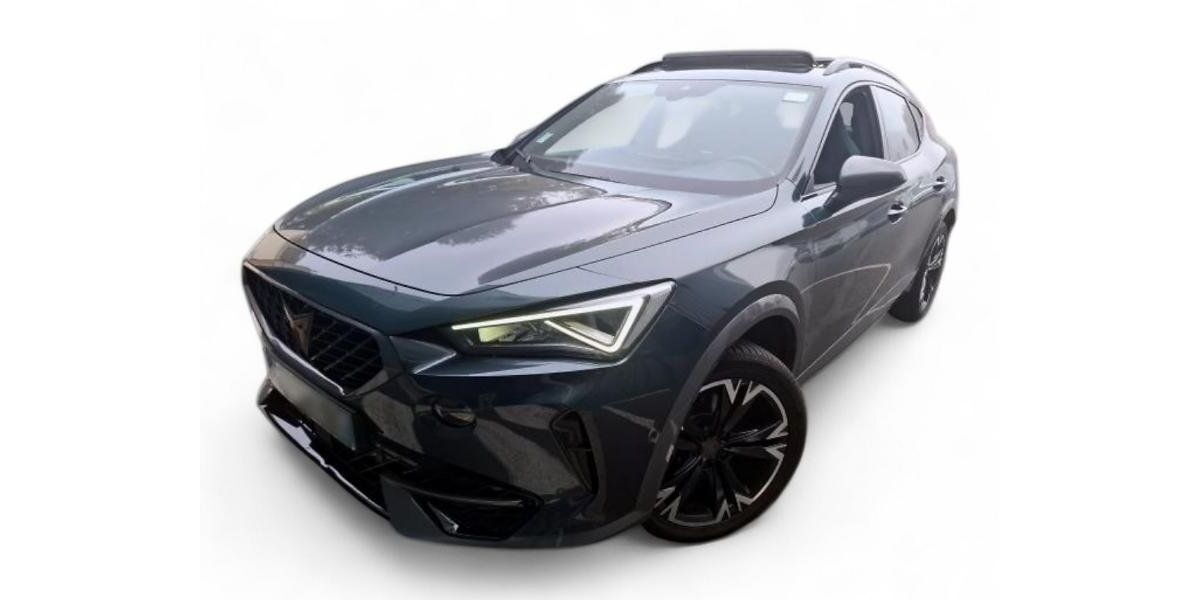 Cupra Formentor 63.709 km 22.999 &euro; Ergolding 84030