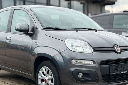 Fiat Panda 21.990 km 8.700 &euro; Lügde 32676