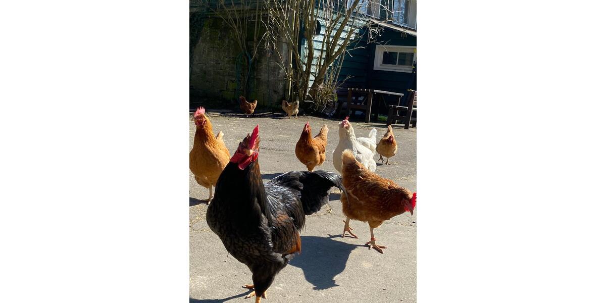 Maisonettenwohnung Marburg - 4 Zimmer, 146 m&sup2;, 2.950&euro; | Angebot:25881205