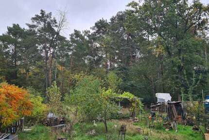 Grundstück Werder (Havel) OT Alt-Töplitz Töplitz - 220.000&euro; | Angebot:26636427