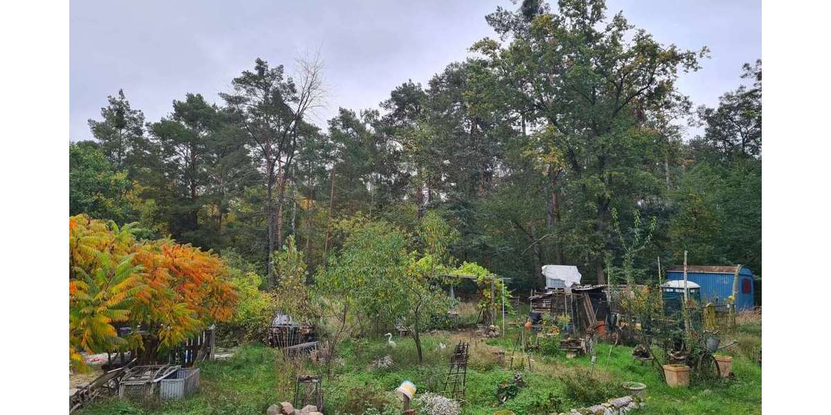 Grundstück Werder (Havel) OT Alt-Töplitz Töplitz - 220.000&euro; | Angebot:26636427