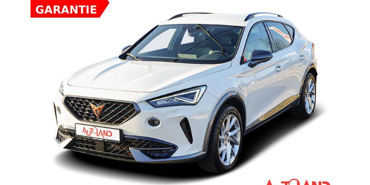 Cupra Formentor 72.203 km 22.990 &euro; Cottbus OT Kolkwitz 03099