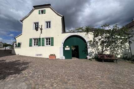 Gastronomie in Bad Dürkheim 779.000 € 651 m²