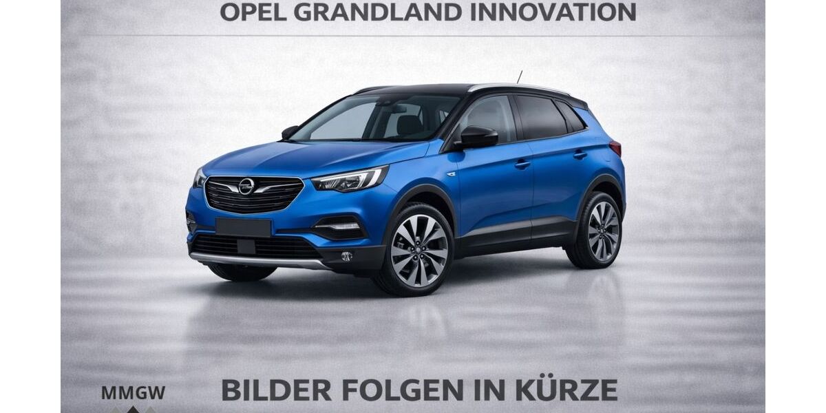 Opel Grandland (X) 110.000 km 13.990 &euro; Bensheim 64625