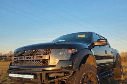 Ford F 150 187.000 km 41.000 &euro; Milow 14715