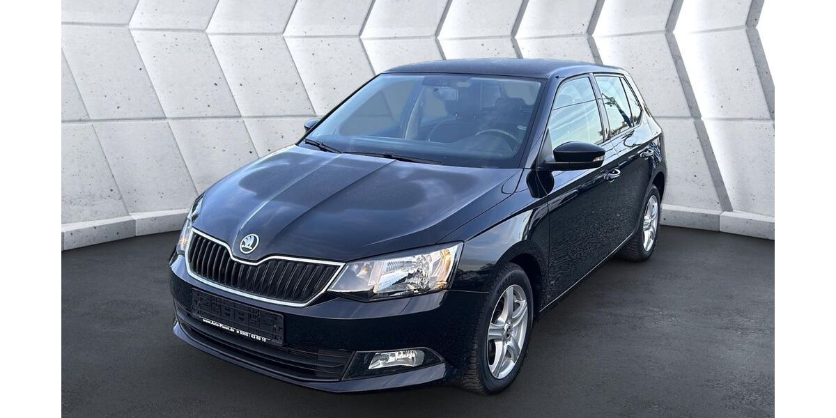 Skoda Fabia 85.591 km 9.999 &euro; Schleifreisen 07629