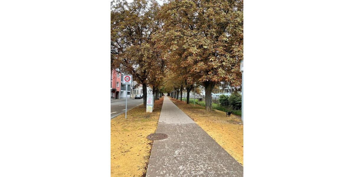 Dachgeschoßwohnung Zweibrücken - 3 Zimmer, 80 m&sup2;, 129.000&euro; | Angebot:27063833