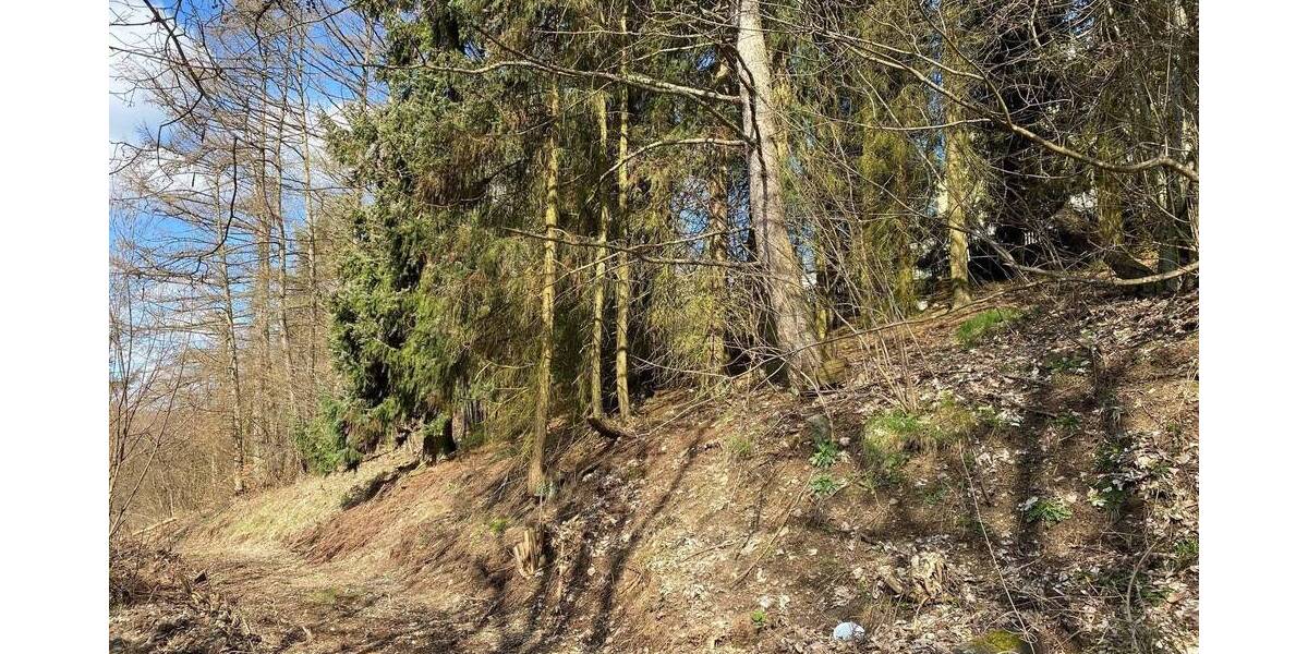 Grundstück Bad Berleburg Aue - 22.000&euro; | Angebot:25667709