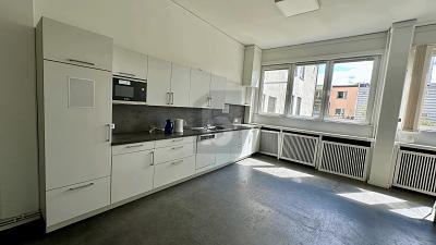 FLEXIBLES ENSEMBLE MIT FLEXIBLER STRUKTUR - Gewerbeobjekt Reinbek | Angebot:26319873