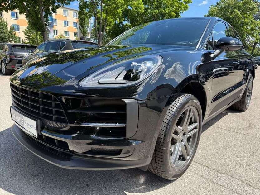 Macan