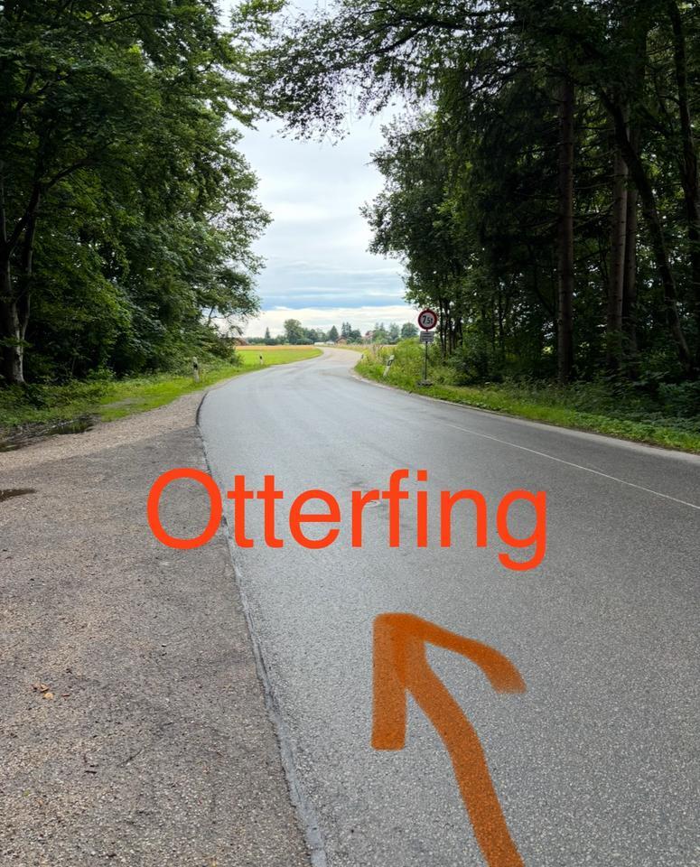 Waldgrundstück bei Otterfing angrenzend Münchner Landkreis