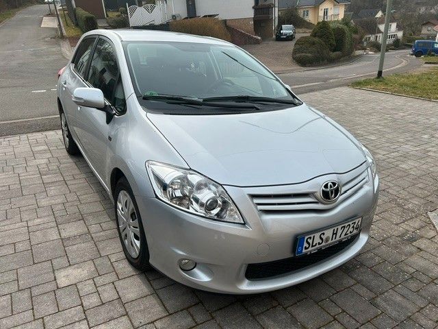 Auris