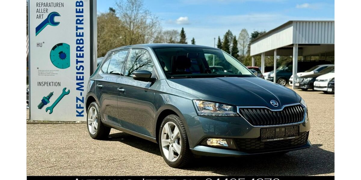 Skoda Fabia 85.182 km 9.450 &euro; Edewecht 26188