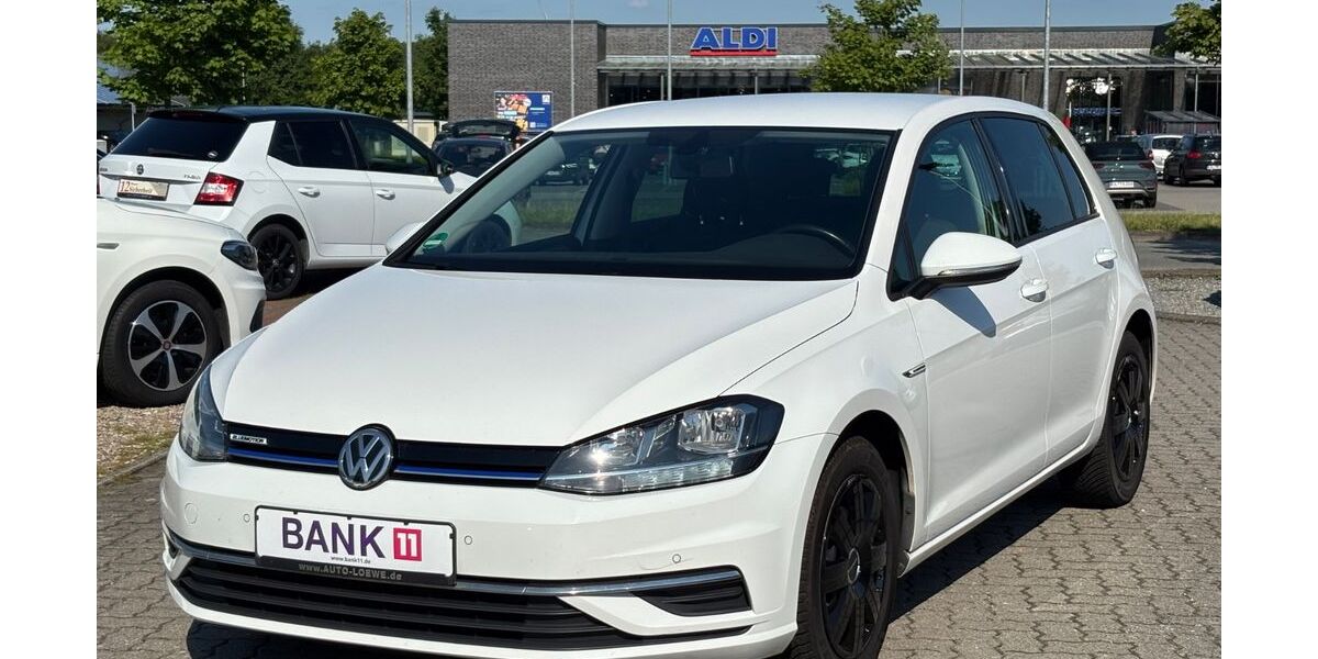 VW Golf 162.000 km 11.590 &euro; Silberstedt 24887