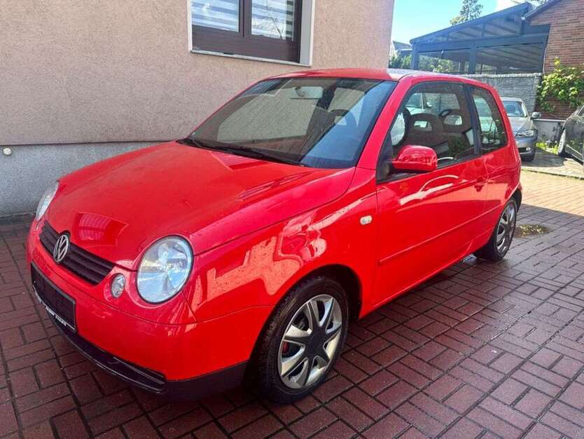 Lupo