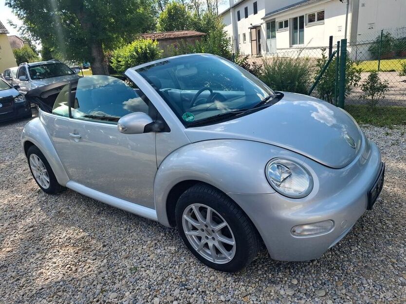 Beetle