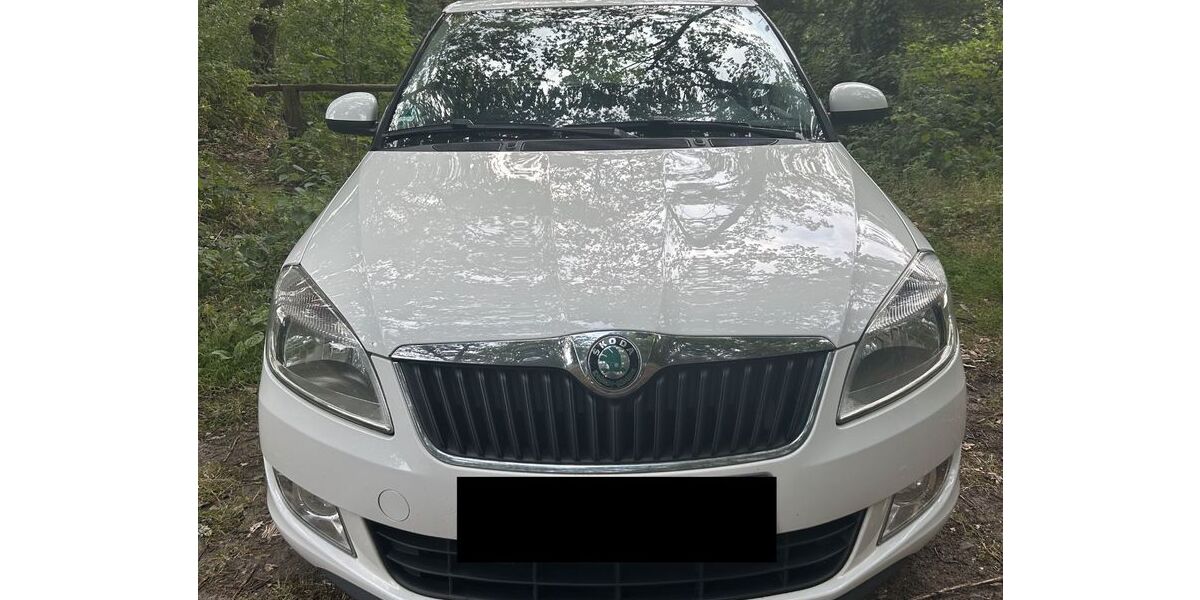 Skoda Fabia 209.000 km 1.500 &euro; Kettenkamp 49577
