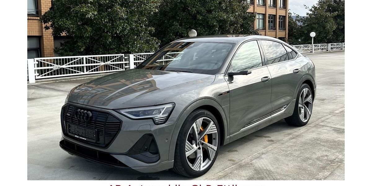 Audi e-tron 46.700 km 38.900 &euro; Ettlingen 76275