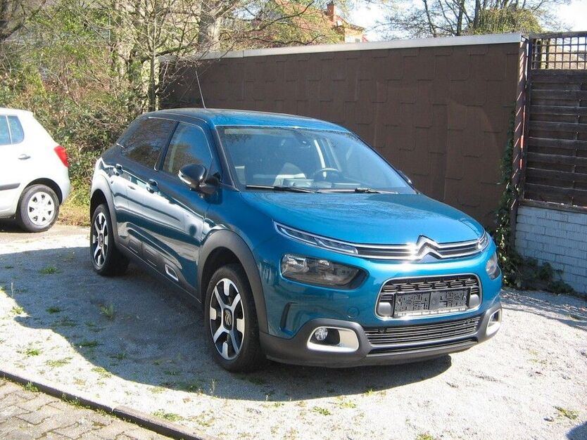 C4 Cactus