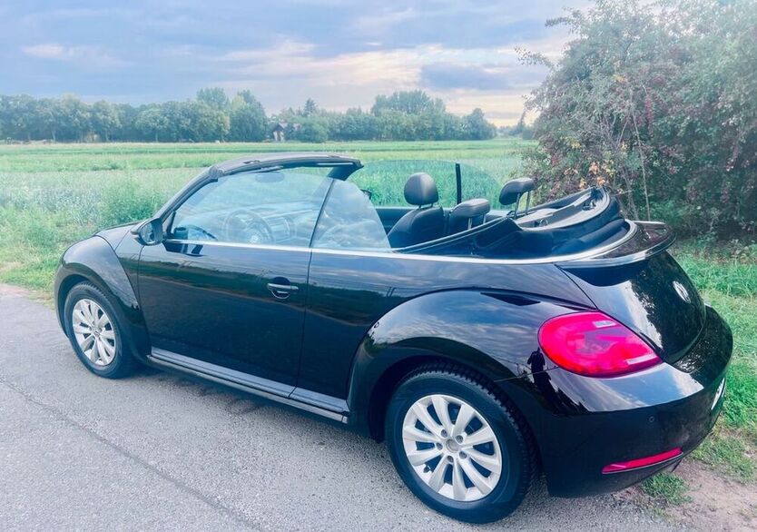 Beetle