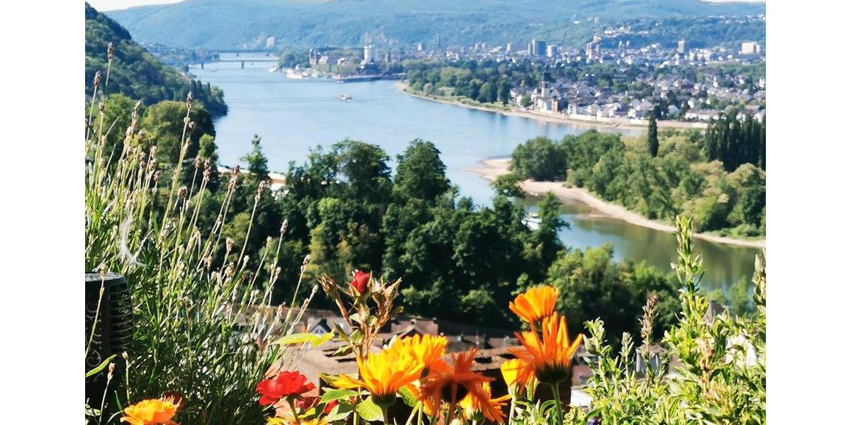 Exclusive 4 Zimmer Terrassenwohnung mit Panorama-Aussicht Garage 4 zimmer