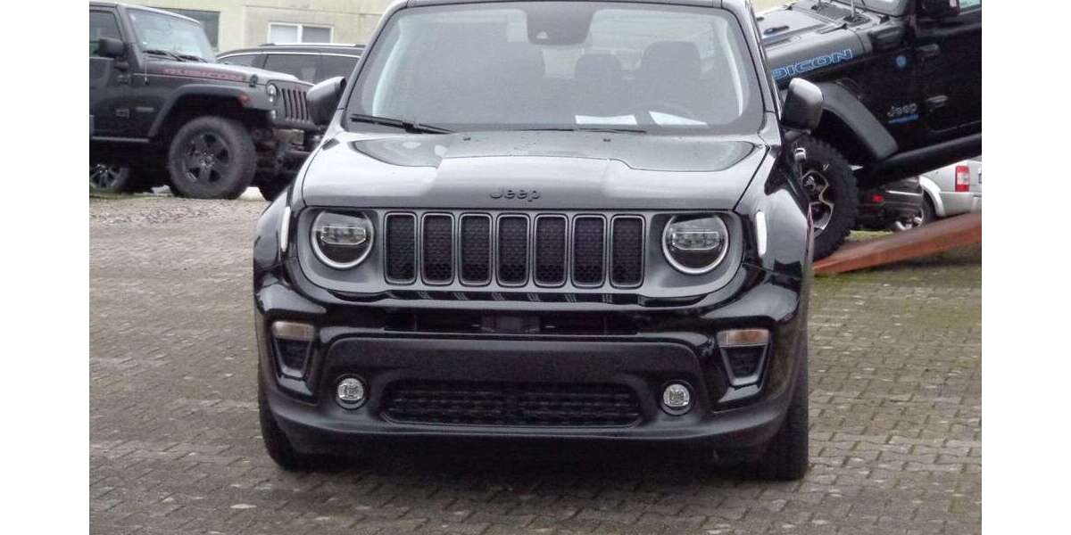 Jeep Renegade 29.900 km 26.695 &euro; Bühl 77815