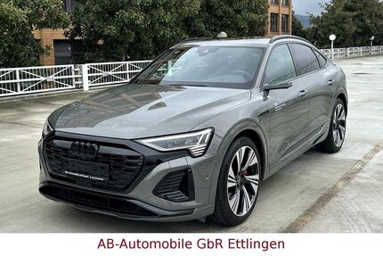 Audi Q8 3.304 km 65.900 € Ettlingen 76275