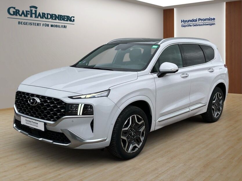 Hyundai SANTA FE 59.182 km 39.990 € Landau 76829