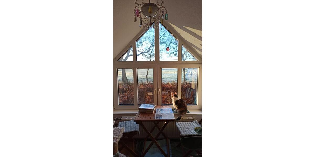 Einfamilienhaus Varel - 11 Zimmer, 340 m&sup2;, 590.000&euro; | Angebot:25349757