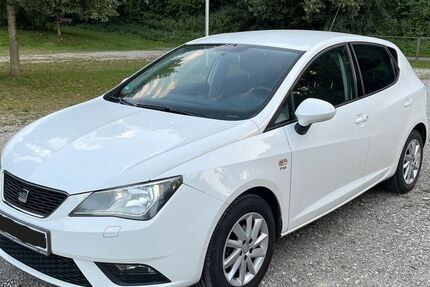 Seat Ibiza 151.769 km 5.590 € Berkheim 88450
