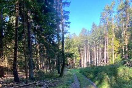 Grundstück Pentling / Matting Matting - 92.000&euro; | Angebot:19583952