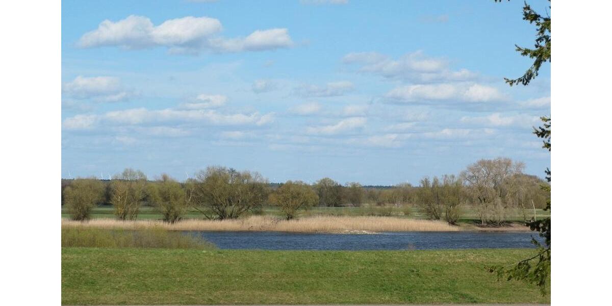 Mehrfamilienhaus, Wohnhaus Dannenberg (Elbe) - 12 Zimmer, 220 m&sup2;, 295.000&euro; | Angebot:26001961