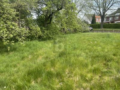 HEUTE EIGENTÜMER WERDEN - MORGEN BAUEN - Grundstück Metelen | Angebot:26779895