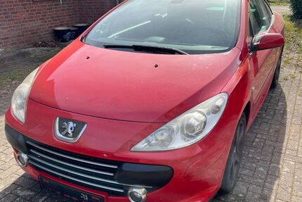 Peugeot 307 244.000 km 1.300 &euro; Rees 46459