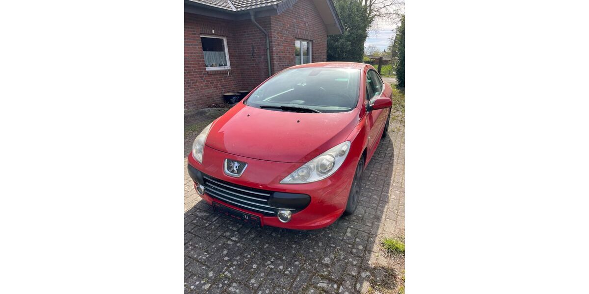 Peugeot 307 244.000 km 1.300 &euro; Rees 46459