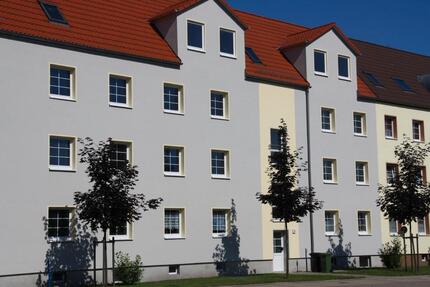 Wohnung Südliches Anhalt - 4 Zimmer, 71 m&sup2;, 480&euro; | Angebot:26235443