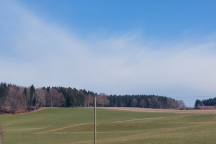 Haus Leutkirch - 5 Zimmer, 137 m&sup2;, 820.000&euro; | Angebot:25194065