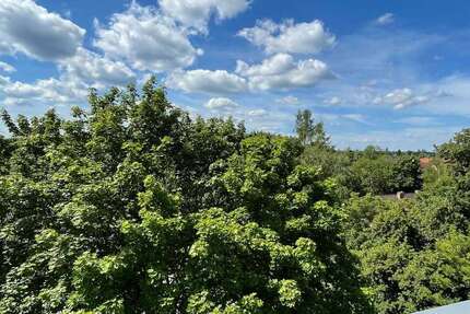 Wohnung zum Mieten in Gräfelfing 1.450 € 86.28 m² 3 zimmer