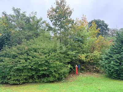 FERTIGES PROJEKT SUCHT UMSETZUNG! - Grundstück Badenweiler | Angebot:26319934