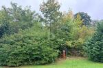 FERTIGES PROJEKT SUCHT UMSETZUNG! - Grundstück Badenweiler | Angebot:26319934