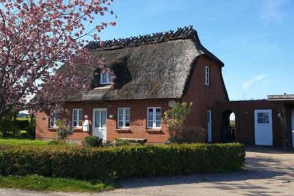 Haus Steinbergkirche - 4 Zimmer, 103 m&sup2;, 1.600&euro; | Angebot:25406326