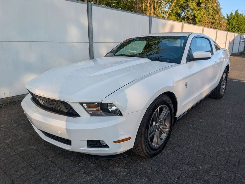 Mustang