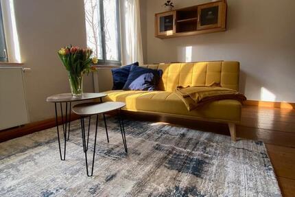 Wohnung Dresden Neustadt - 2 Zimmer, 45 m&sup2;, 850&euro; | Angebot:20934190