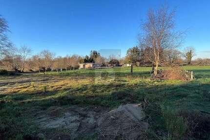 Grundstück Steenfeld - 50.000&euro; | Angebot:25439384