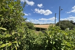 Großzügiges und idyllisch gelegenes Wohlfühlzuhause mit Wintergarten und großem Grundstück - Einfamilienhaus Klipphausen | Angebot:26990002