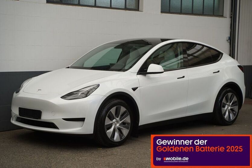 Model Y
