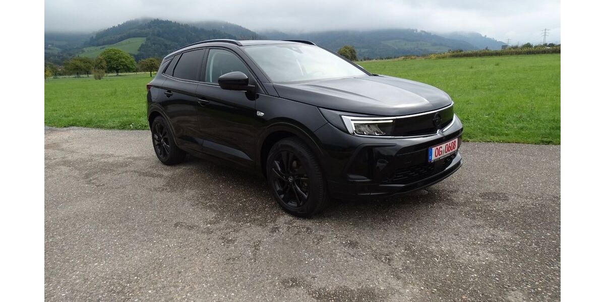 Opel Grandland (X) 119.531 km 14.999 &euro; Gengenbach 77723