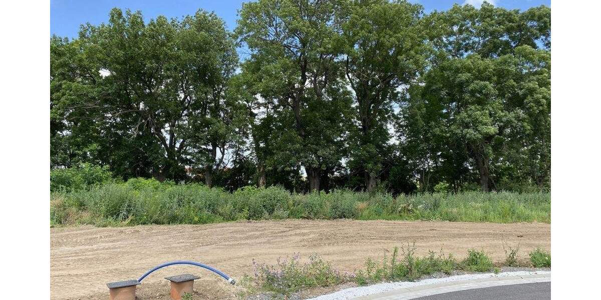 Grundstück Aschersleben - 79.790&euro; | Angebot:25738845